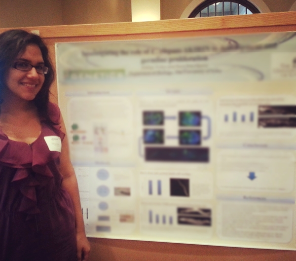 Ashley's Poster at the Summer Undergraduate Research Conference